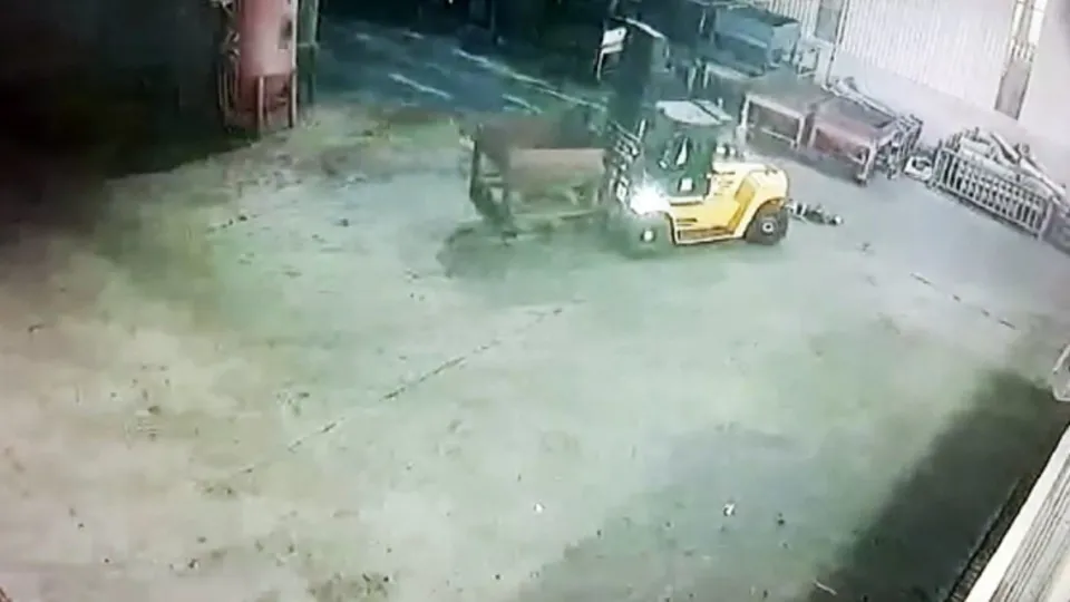 Son dakika: Ölüm anı anbean kamerada! Forkliftin altında kalan işçi... |Video