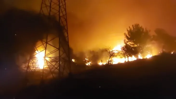 Hatay’da orman yangını! Söndürme çalışmaları devam ediyor