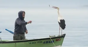 Yaren leylek balıkçı Adem amcaya kavuştu!