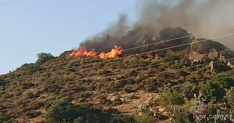 Muğla'nın Datça ilçesinde Kargı mevkindeki ormanlık alanda yangın! 6 helikopter 3 uçakla olay yerine anında müdahale 13