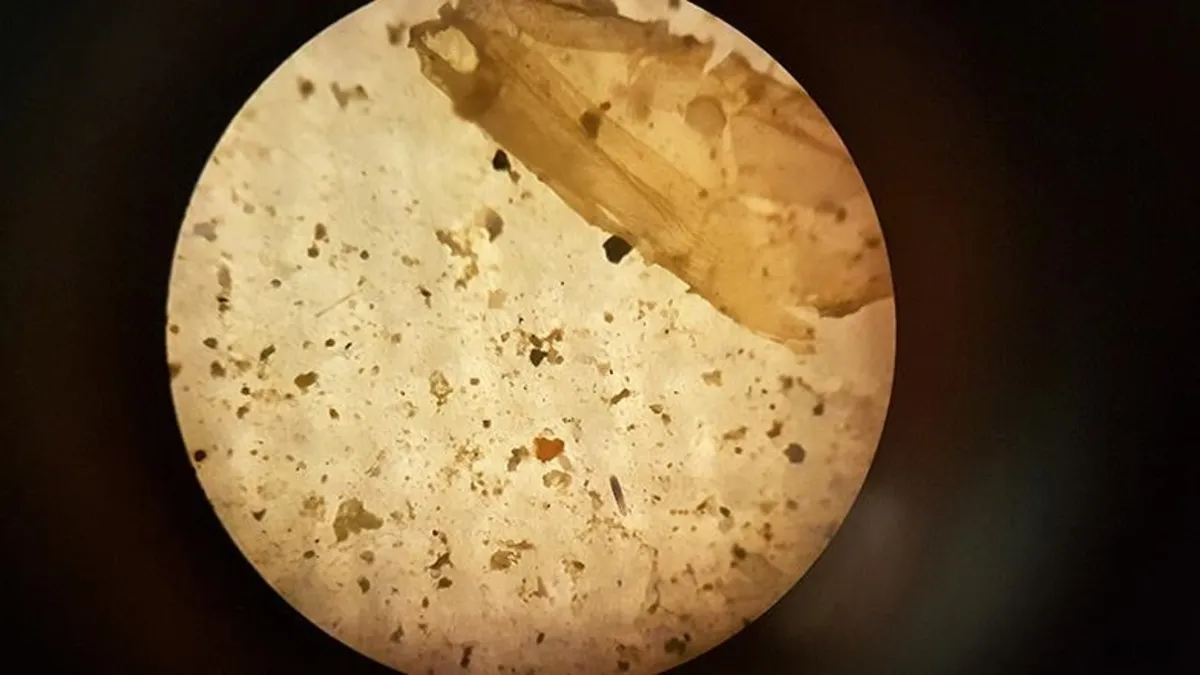 Hava değil mikroplastik soluyoruz! Bilim insanları uyarıyor