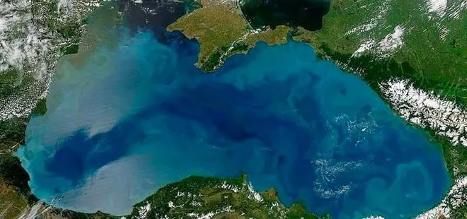 Karadeniz'de küresel ısınma tehlikesi! Bilim insanlarından 14 yıl rapor: Ölüyor