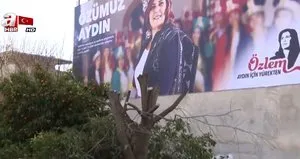 Afişi görünsün diye ağaçları katletti!