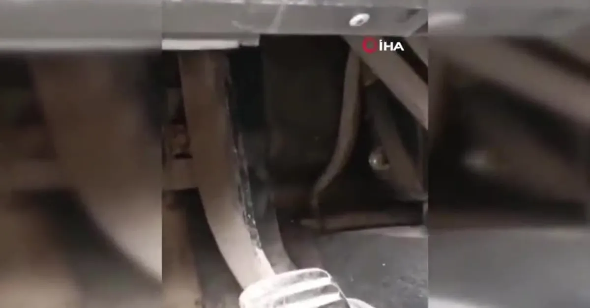 Aracına binince dehşeti yaşadı! Pedal bölümünden öyle bir şey çıktı ki…