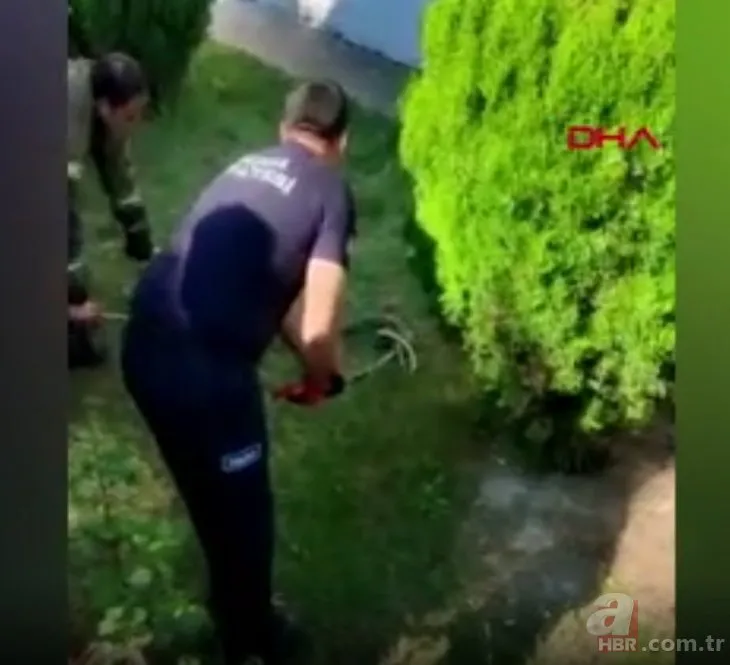 Bursa’da bir sitenin bahçesinde yılan paniği! Çocuklar korku dolu anlar yaşadı: 1,5 metre uzunluğundaki yılanı yakalama anı kamerada🐍