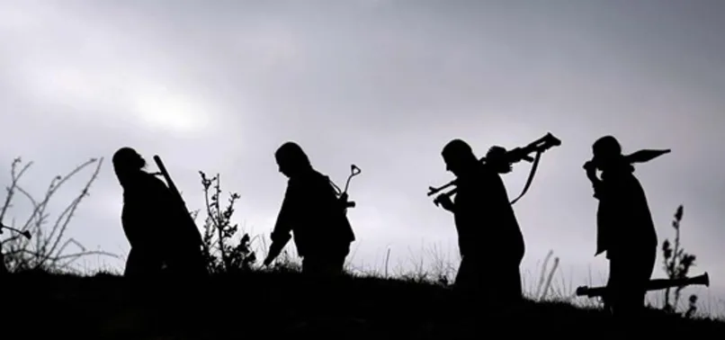 Hakkari'de 3 terörist etkisiz hale getirildi