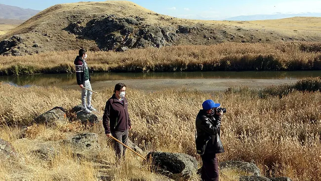 Van’da vatandaşlar yaban domuzu korkusu yüzünden sopasız çıkmıyorlar - 2
