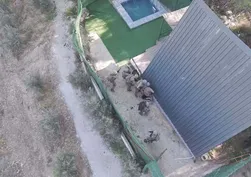 İzmir'de nefes kesen operasyon: 30 yıl hapis cezası bulunan firari bungalovda yakalandı
