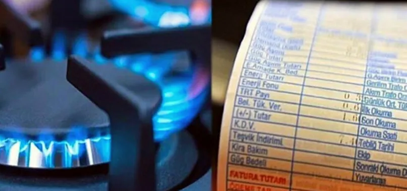 Enerji ve Tabii Kaynaklar Bakanı Fatih Dönmez'den doğalgaz faturası açıklaması: 100 TL'nin 80 lirasını devlet ödüyor