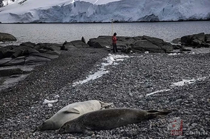 Antarktika Seferi’nin kadın görevlisi Hilal Ay 'biyoteknolojik ilaçların' peşinde! Dünyada kimse yapmadı 7