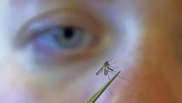 Koronavirüs sonrası yeni alarm! Belirtileri çok benzer! Sivrisinek yoluyla bulaşıyor... Türkiye’ye yaklaştı