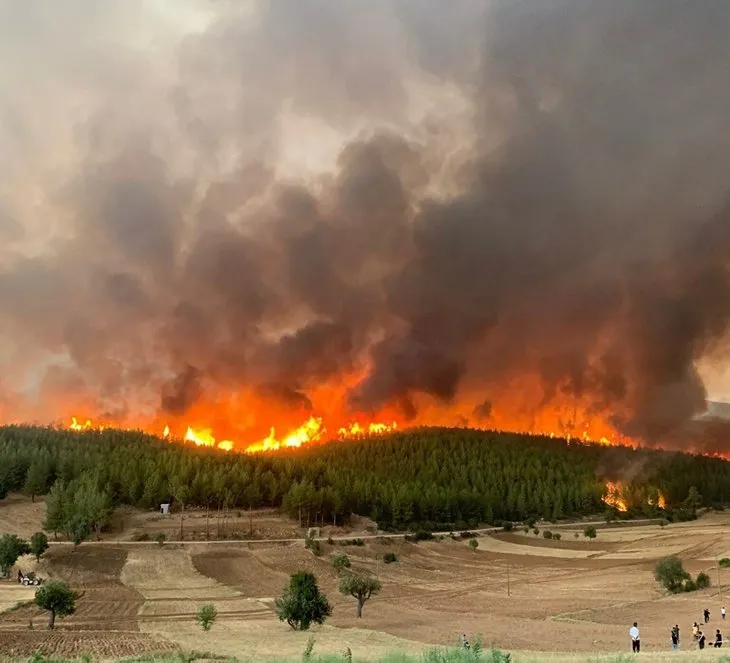 Antalya, Manavgat, Köyceğiz, Çökertme, Marmaris, Muğla orman yangınlarında son durum