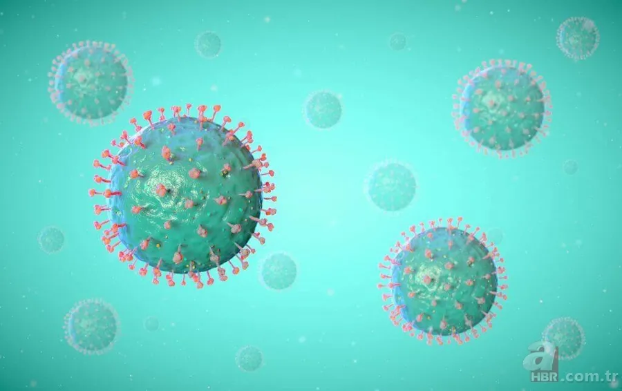 Yeni Felaket Kapıda: 500 Kat Daha Kötü Bir Tehdit Yaklaşıyor! Bilim adamından Baba Vanga kehaneti 8