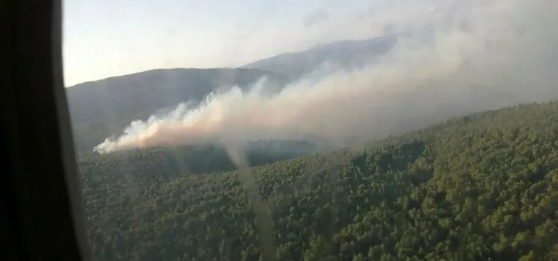 Son dakika: İzmir Çeşme'de makilik alanda yangın!