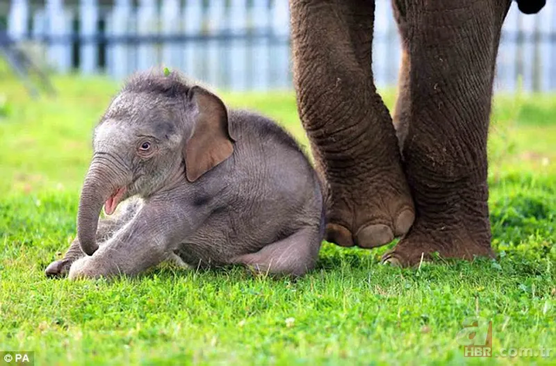 Bilim insanları geliştirdi! Artık uzaydan sayılabilecekler