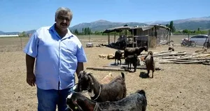 Futbolcu satıp keçi aldı!