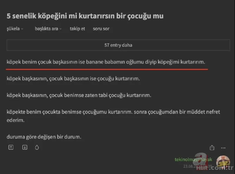 Ekşi Sözlük skandalı bitmek bilmiyor! 'Bir çocuğu mu kurtarırsınız yoksa bir köpeği mi?' sorusuna mide bulandıran cevaplar 22