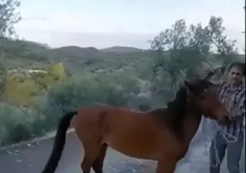Çanakkale'de ata işkence eden Serkan Yılmaz yakalandı! Sosyal medyayı sallayan görüntüler