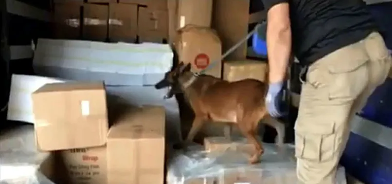 Adana'da, TIR'da yapılan aramada 50 bin uyuşturucu hap bulundu