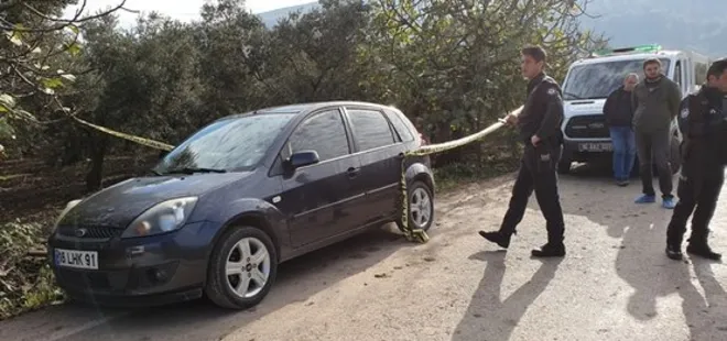 Zeytin hasadında ağaca asılı ceset buldu