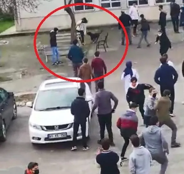 Kocaeli Darıca'da korku dolu anlar! Başıboş dolaşan köpek okula daldı - 1