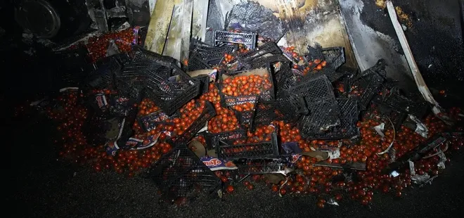 Domates yüklü TIR yanarak hurdaya döndü