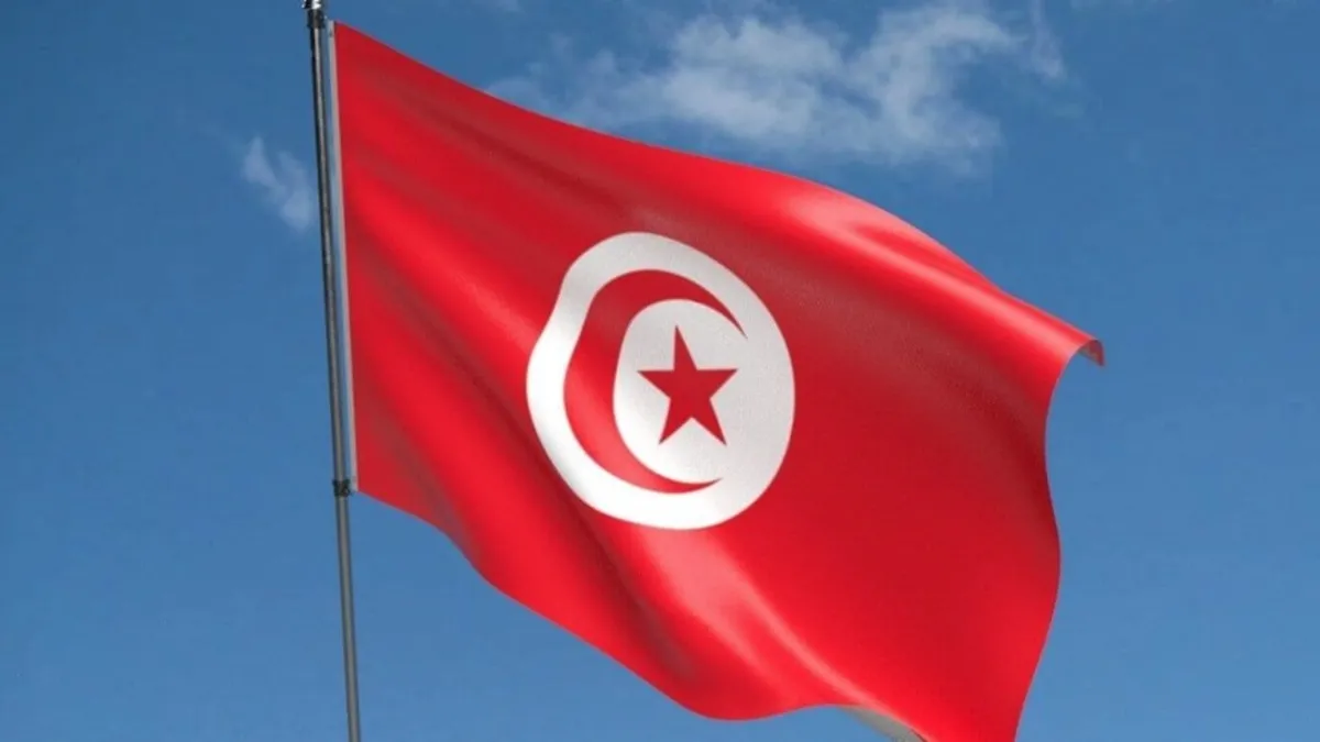 Tunus'ta düzensiz göçmen krizi: Çok sayıda gözaltı