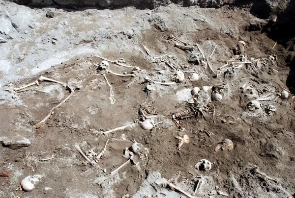 ABD Başkanı Joe Biden ve HDP’nin görmezden geldiği gerçek katliam!