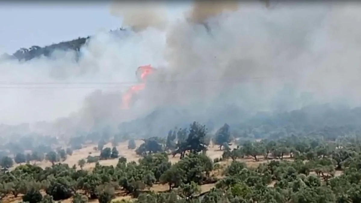 CANLI | İzmir'deki orman yangını kontrol altında!
