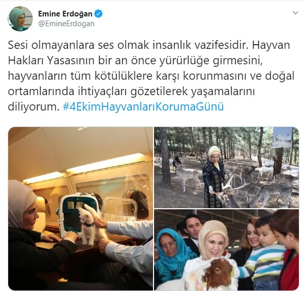 Emine Erdoğan’dan Hayvan Hakları Günü mesajı - 1