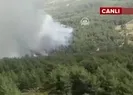 Muğlada orman yangını! Çok sayıda ekip müdahale ediyor...