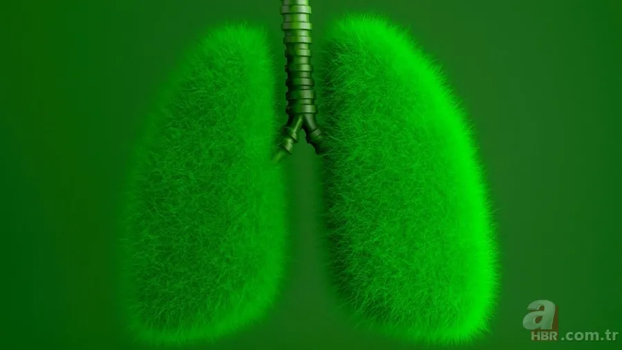 5 Mart ne günü? Yeşilay Haftası ne zaman başlıyor, neden kutlanıyor? 1