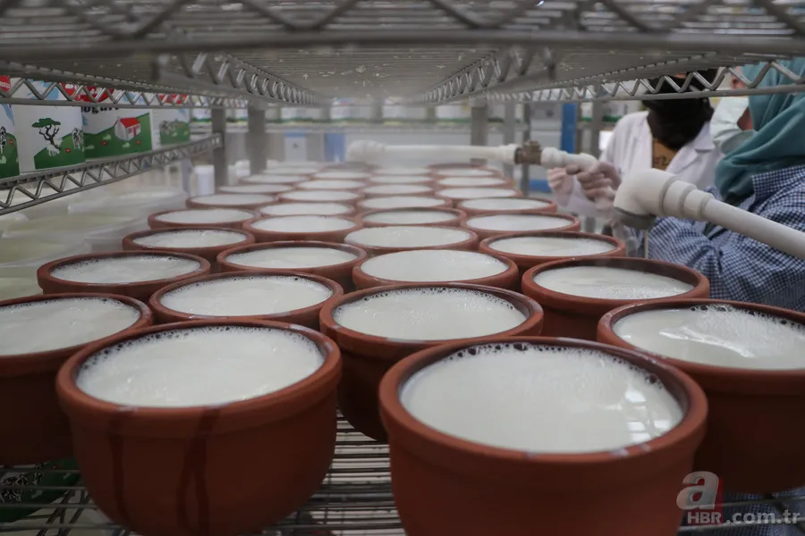 200 litreden 7 tona uzanan dev yolculuk: Sofraların lezzeti onlara emanet 2