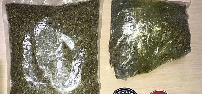 Hamile yalanı kısa sürdü! Suç makinası çıktı