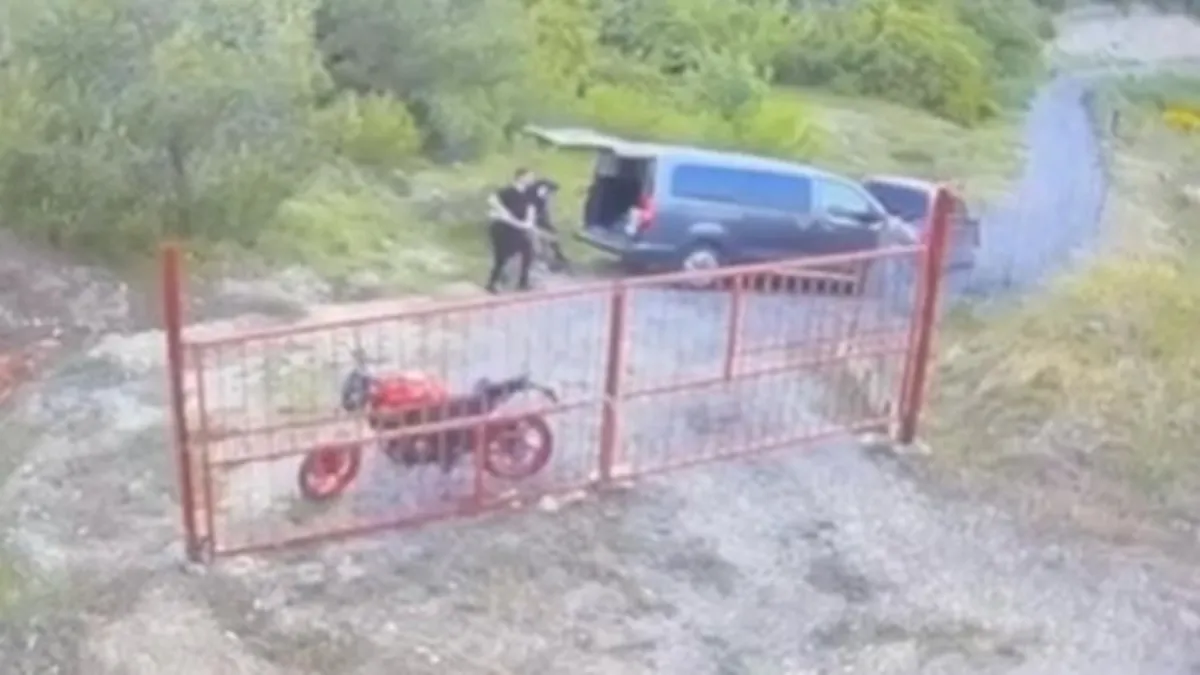 İzmir’de defineciler orman yaktı! 5 tutuklama