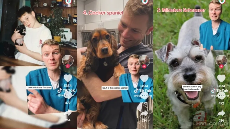 Veteriner açıkladı: İşte evcil hayvan olarak beslenebilecek en iyi 5 köpek ırkı 7