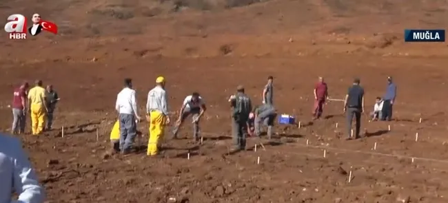tarim-sektoru-devlet-destegi-ile-buyuyor-2022de-tarima-258-milyarlik-destek-1636544071697.jpg
