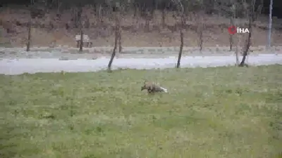 Boş kalan kampüste görüntülendi