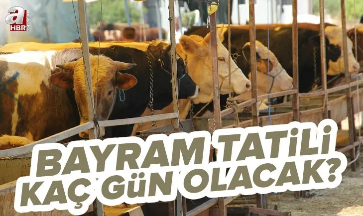 Bayram tatili kaç gün, 9 gün mü olacak? 15 Temmuz ile Kurban Bayramı tatili birleşecek mi? 13-14 Temmuz tatil olacak mı?