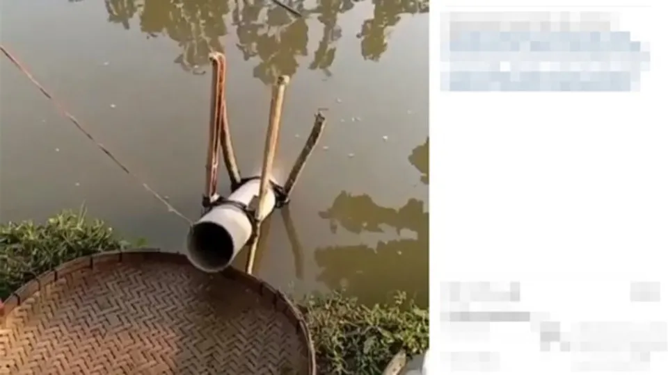 Gördüklerinize inanamayacaksınız! İpi çektiği anda...