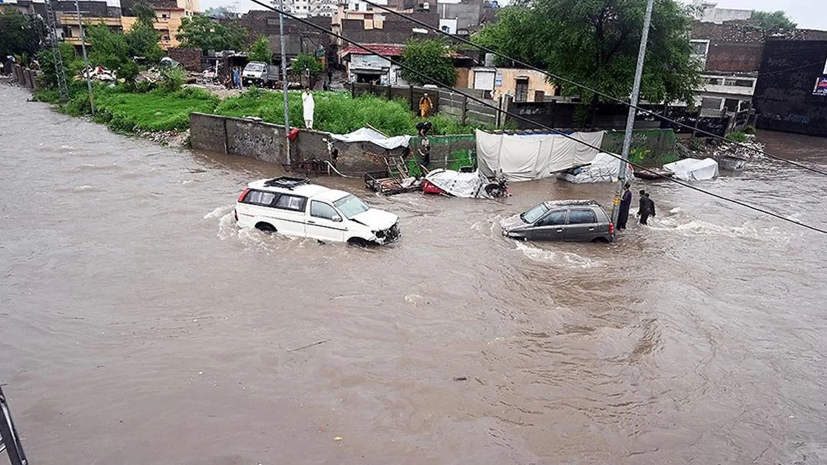 Hindistan'da sel ve toprak kayması: 11 ölü