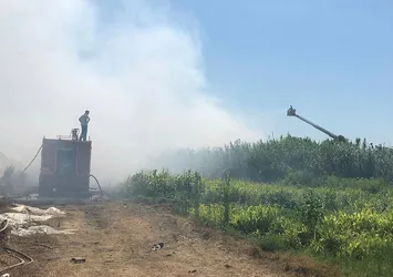 Hatay'daki yangın söndürüldü