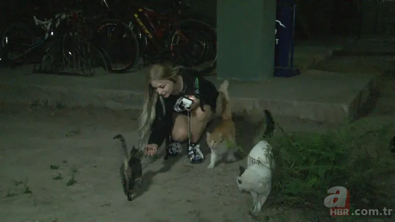 Antalya'da vahşet! Ağaca asılı halde bulundular 7