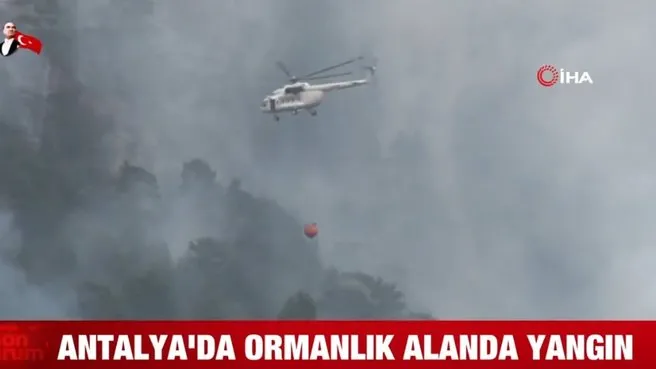 Antalya Alanya’da ormanlık alanda yangın