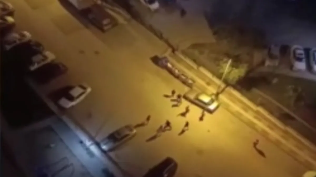 Ankara'da iki grup arasında kavga! Araya mahalleli girdi