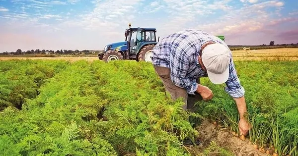 Tarlada kaçak var! Sahte ürünler zehir saçıyor