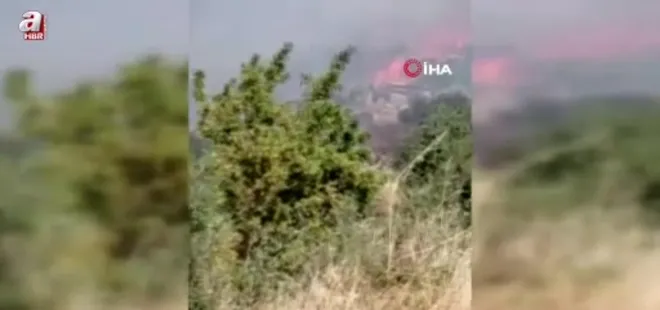 Aydın'da zirai alan yangını