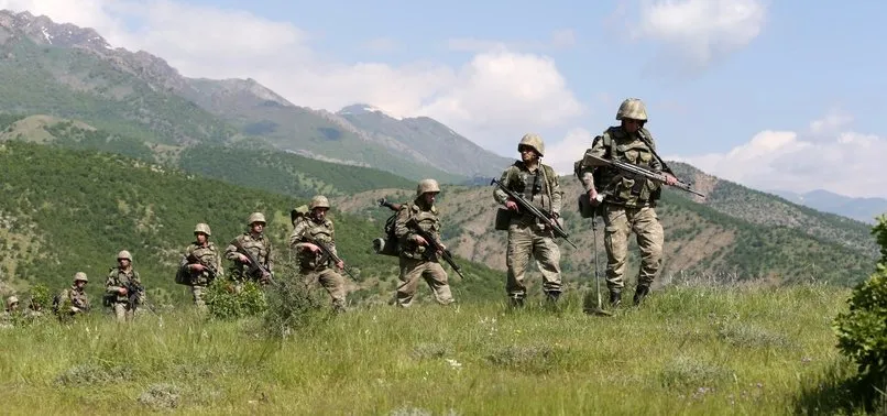 TSK: 78 PKK'LI ÖLDÜRÜLDÜ