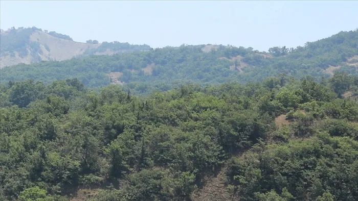 ankara-ormanlik-alanlara-giris-yasagi-valilik-tarih-araligini-duyurdu-1718183078519.jpg Ankara ormanlık alanlara giriş yasağı! Valilik tarih aralığını duyurdu... - 4