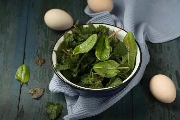 Doğada kendiliğinden yetişiyor! Yüzyıllar önce keşfedildi! Meğer en güçlü mikrop öldürücüymüş...